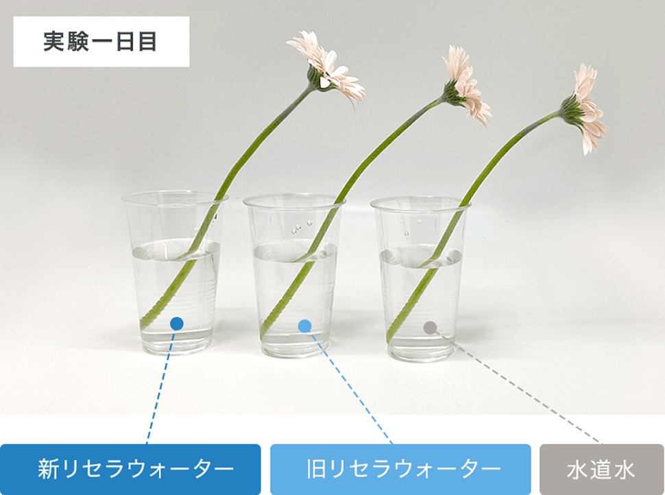実験一日目